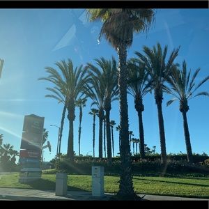 Meet your Posher, Melia